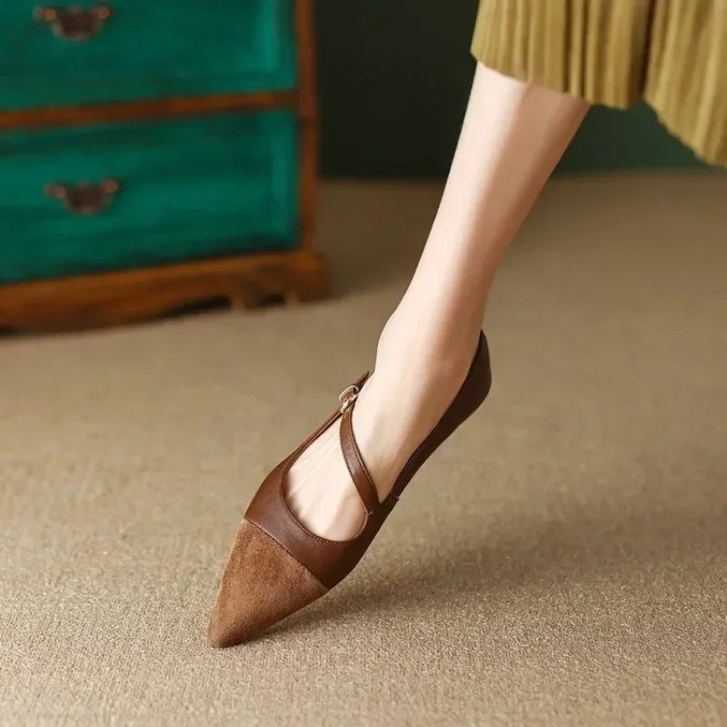 Vintage Brown Pointed Toe Mary Jane Shoes Women's 2025 New Spring Flat Heel Shoes