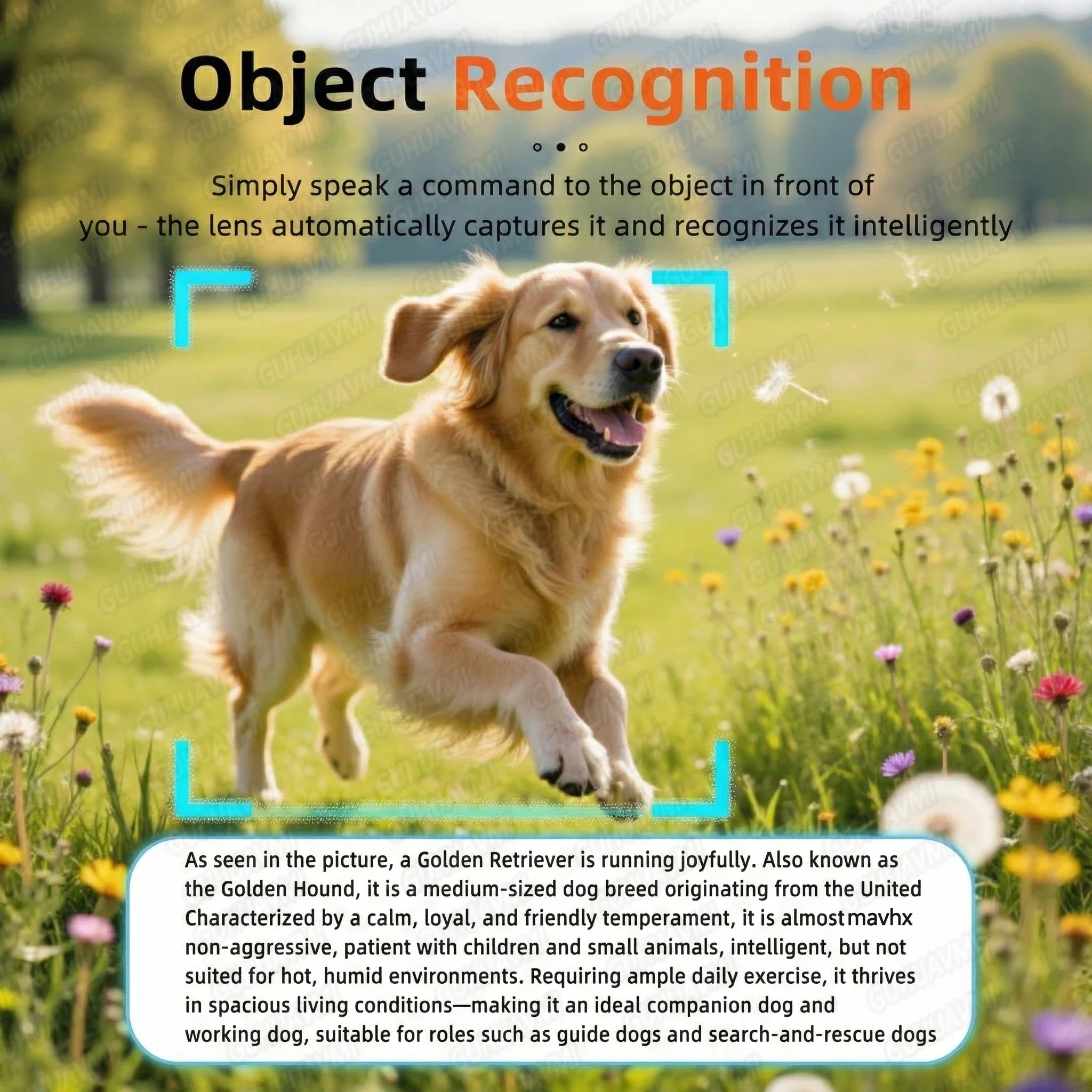 2026 New 800W HD Smart Glasses Men 32GB Photo Video Recording Bluetooth Call Sport Sunglasses Cycling Driver UV400 IP54 Goggles