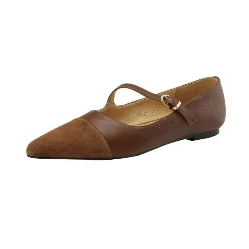Vintage Brown Pointed Toe Mary Jane Shoes Women's 2025 New Spring Flat Heel Shoes